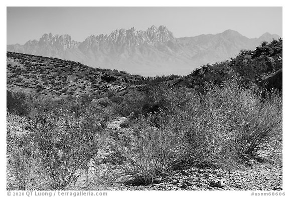Organ Mountains from Box Canyon. Organ Mountains Desert Peaks National Monument, New Mexico, USA (black and white)