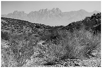 Organ Mountains from Box Canyon. Organ Mountains Desert Peaks National Monument, New Mexico, USA ( black and white)