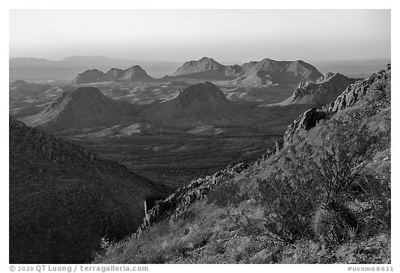 Barrel Cactus and Dona Ana Mountains. Organ Mountains Desert Peaks National Monument, New Mexico, USA (black and white)
