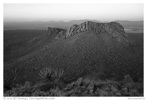 Sotol, Dona Ana mountains at sunset. Organ Mountains Desert Peaks National Monument, New Mexico, USA (black and white)