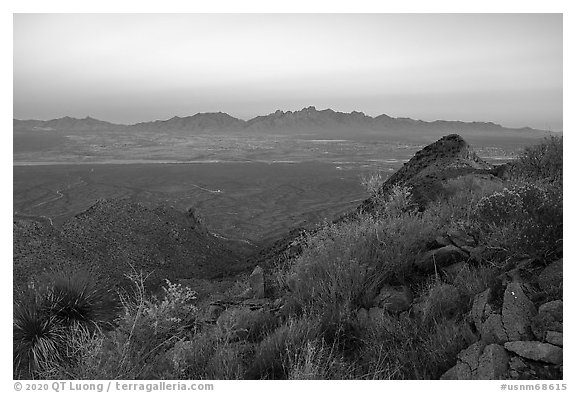 Desert vegetation on Dona Ana Peak and Organ Mountains at sunset. Organ Mountains Desert Peaks National Monument, New Mexico, USA (black and white)