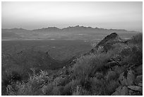Desert vegetation on Dona Ana Peak and Organ Mountains at sunset. Organ Mountains Desert Peaks National Monument, New Mexico, USA ( black and white)
