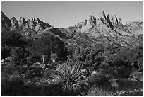 Rabbit Ears and the Needles from Aguirre Springs. Organ Mountains Desert Peaks National Monument, New Mexico, USA ( black and white)
