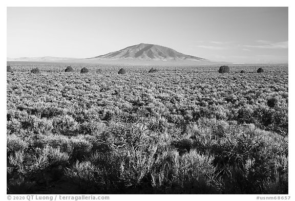 Sagebrush on Taos Plateau and Ute Mountain. Rio Grande Del Norte National Monument, New Mexico, USA (black and white)