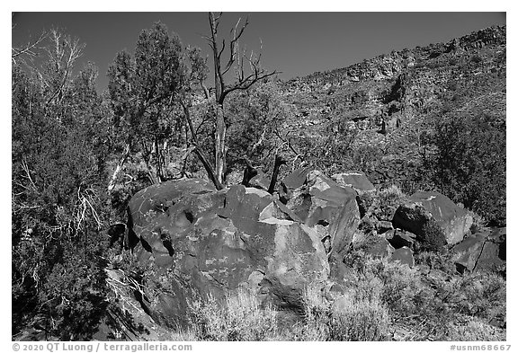 Boulder with petrogphys and canyon walls. Rio Grande Del Norte National Monument, New Mexico, USA (black and white)