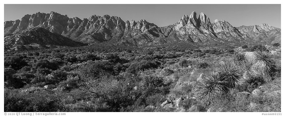 Organ needles, Rabbit Ears, Baylor Peak above Aguirre Springs. Organ Mountains Desert Peaks National Monument, New Mexico, USA (black and white)