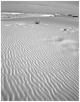 Ripples in sand dunes, White Sands National Monument. New Mexico, USA ( black and white)