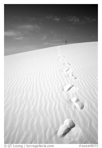 Footprints. White Sands National Monument, New Mexico, USA