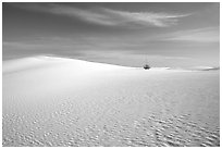 Pictures of White Sand Dunes