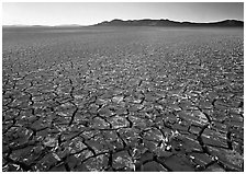 Peeling dried mud, sunrise, Black Rock Desert. Nevada, USA (black and white)