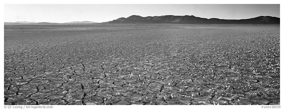 Dry lake bed landscape. Nevada, USA (black and white)