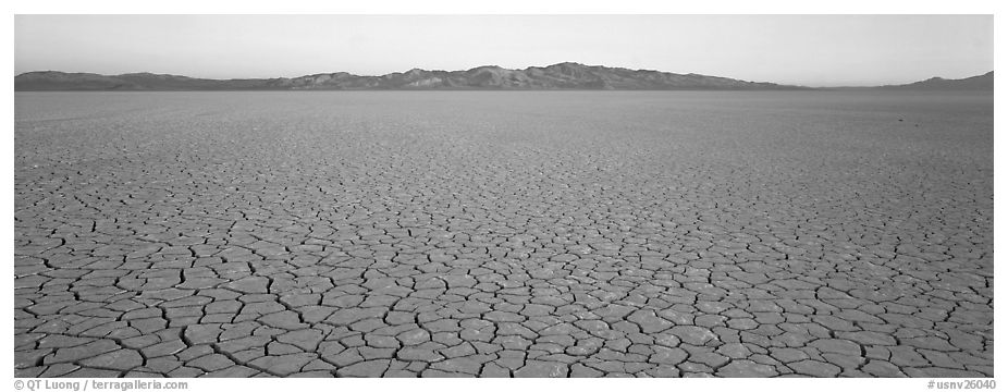 Desert landscape with cracked mud. Nevada, USA (black and white)