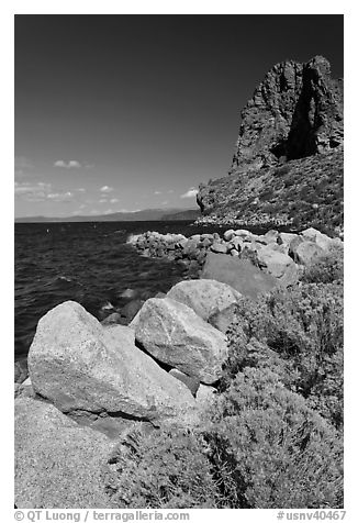 Sagebrush and Cave Rock, Lake Tahoe, Nevada. USA (black and white)