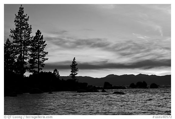 Shoreline with pine trees and rocks, Sand Harbor, East Shore, Lake Tahoe, Nevada. USA (black and white)