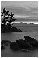 Boulders and trees, sunset, Sand Harbor, East Shore, Lake Tahoe, Nevada. USA ( black and white)
