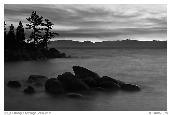 Rocks and trees, sunset, Sand Harbor, East Shore, Lake Tahoe, Nevada. USA (black and white)