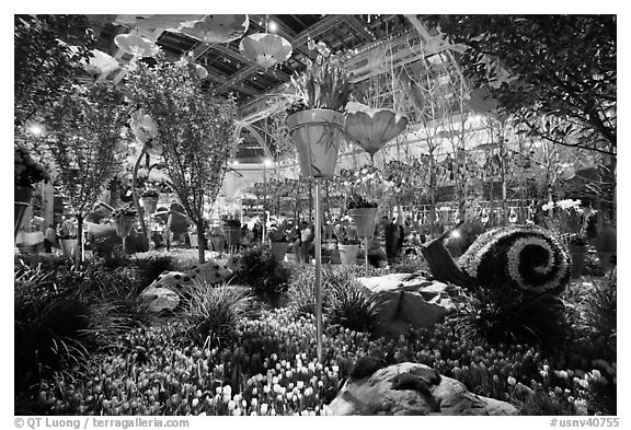 Botanical garden, Bellagio Hotel. Las Vegas, Nevada, USA (black and white)