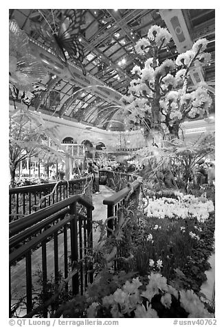 Botanical garden and conservatory with green light, Bellagio Casino. Las Vegas, Nevada, USA