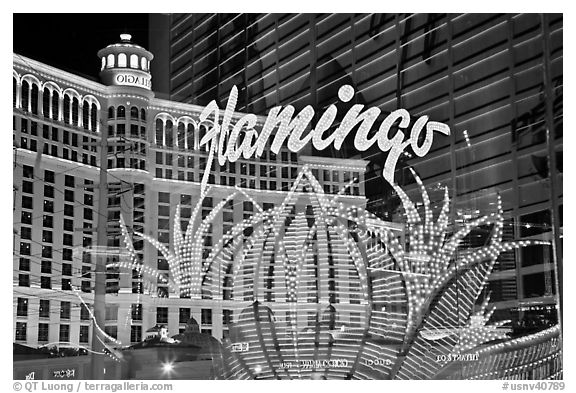 Flamingo hotel lights and Bellagio hotel reflections. Las Vegas, Nevada, USA (black and white)