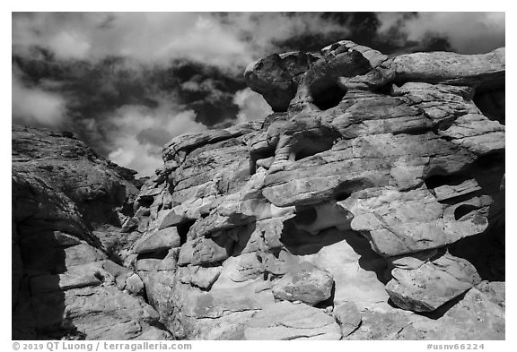 Rocks, Whitney Pocket. Gold Butte National Monument, Nevada, USA (black and white)