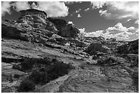 Whitney Pocket. Gold Butte National Monument, Nevada, USA ( black and white)