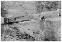 Petroglyphs and multicolored rock. Gold Butte National Monument, Nevada, USA ( black and white)