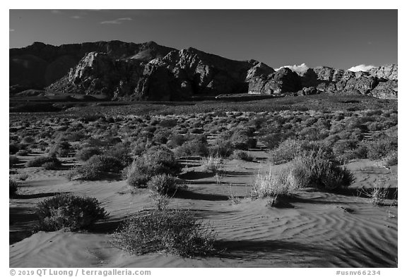 Sand dunes. Gold Butte National Monument, Nevada, USA (black and white)