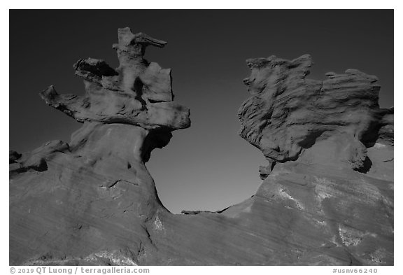 Thin fins of sandstone. Gold Butte National Monument, Nevada, USA (black and white)