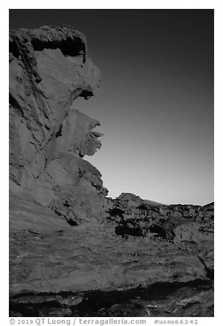 Weathered sandstone a Little Finland. Gold Butte National Monument, Nevada, USA (black and white)