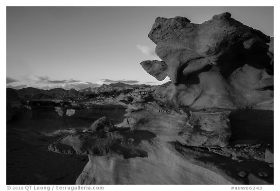 Little Finland, sunset. Gold Butte National Monument, Nevada, USA (black and white)