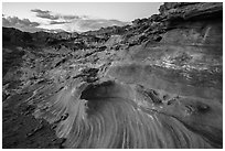 Fins and twirls at sunset, Little Finland. Gold Butte National Monument, Nevada, USA ( black and white)