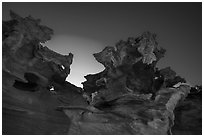 Strange red sandstone formations. Gold Butte National Monument, Nevada, USA ( black and white)