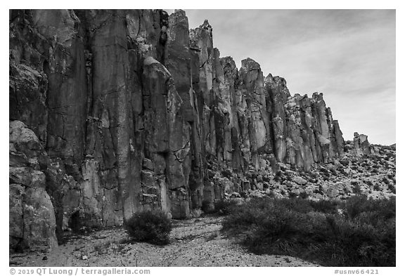 Stone Cathedral, Valley of Faces. Basin And Range National Monument, Nevada, USA (black and white)