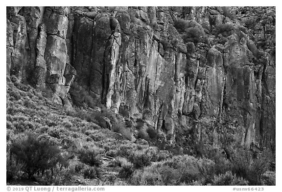 Volcanic rhyolite cliffs, White River Narrows Archeological District. Basin And Range National Monument, Nevada, USA (black and white)