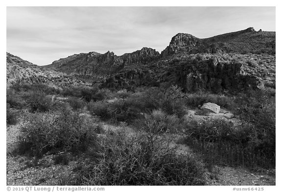 White River Narrows Archeological District. Basin And Range National Monument, Nevada, USA (black and white)