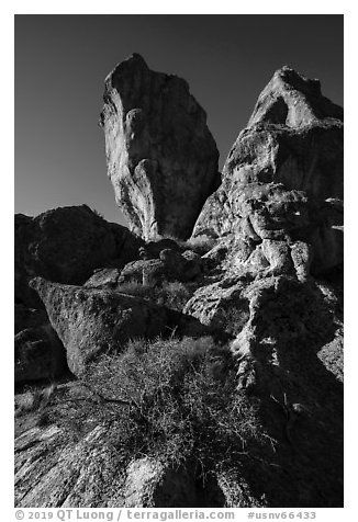 Ash-fall tuff rock towers. Basin And Range National Monument, Nevada, USA (black and white)