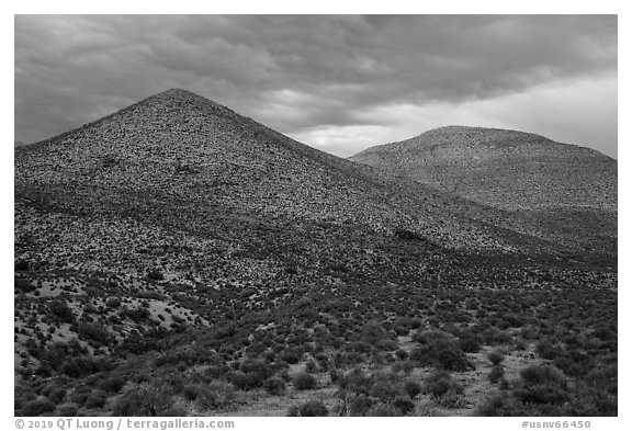 Treeless hills. Basin And Range National Monument, Nevada, USA (black and white)