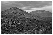 Treeless hills. Basin And Range National Monument, Nevada, USA ( black and white)