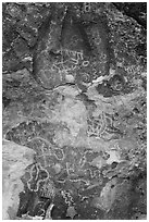 Petroglyphs, Mt Irish Archeological district. Basin And Range National Monument, Nevada, USA ( black and white)