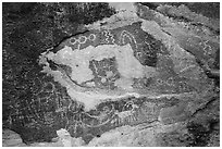 Petroglyphs carved in soft red volcanic rock, Mt Irish Archeological district. Basin And Range National Monument, Nevada, USA ( black and white)