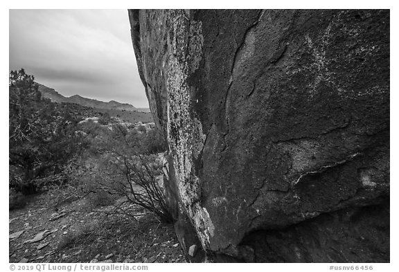 Boulder with rock art and Mt Irish range. Basin And Range National Monument, Nevada, USA (black and white)