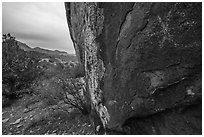 Boulder with rock art and Mt Irish range. Basin And Range National Monument, Nevada, USA ( black and white)