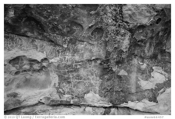 Rock with many petroglyphs, Mt Irish Archeological district. Basin And Range National Monument, Nevada, USA (black and white)