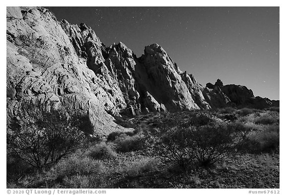 Whitney Pocket by moonlight. Gold Butte National Monument, Nevada, USA (black and white)
