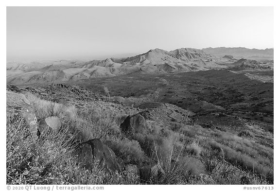 Tramp Ridge and Paradise Valley at dawn. Gold Butte National Monument, Nevada, USA (black and white)