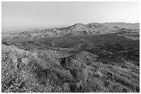 Tramp Ridge and Paradise Valley at dawn. Gold Butte National Monument, Nevada, USA ( black and white)
