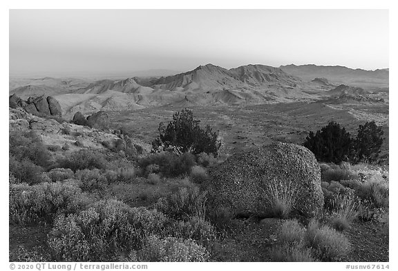 Tramp Ridge and Paradise Valley from Gold Butte Peak. Gold Butte National Monument, Nevada, USA (black and white)
