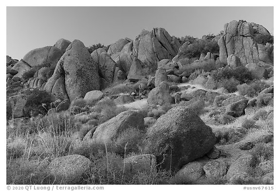 Boulders, Gold Butte Peak. Gold Butte National Monument, Nevada, USA (black and white)