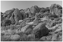 Boulders, Gold Butte Peak. Gold Butte National Monument, Nevada, USA ( black and white)