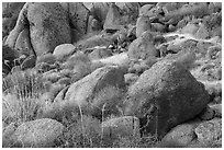 Boulders. Gold Butte National Monument, Nevada, USA ( black and white)